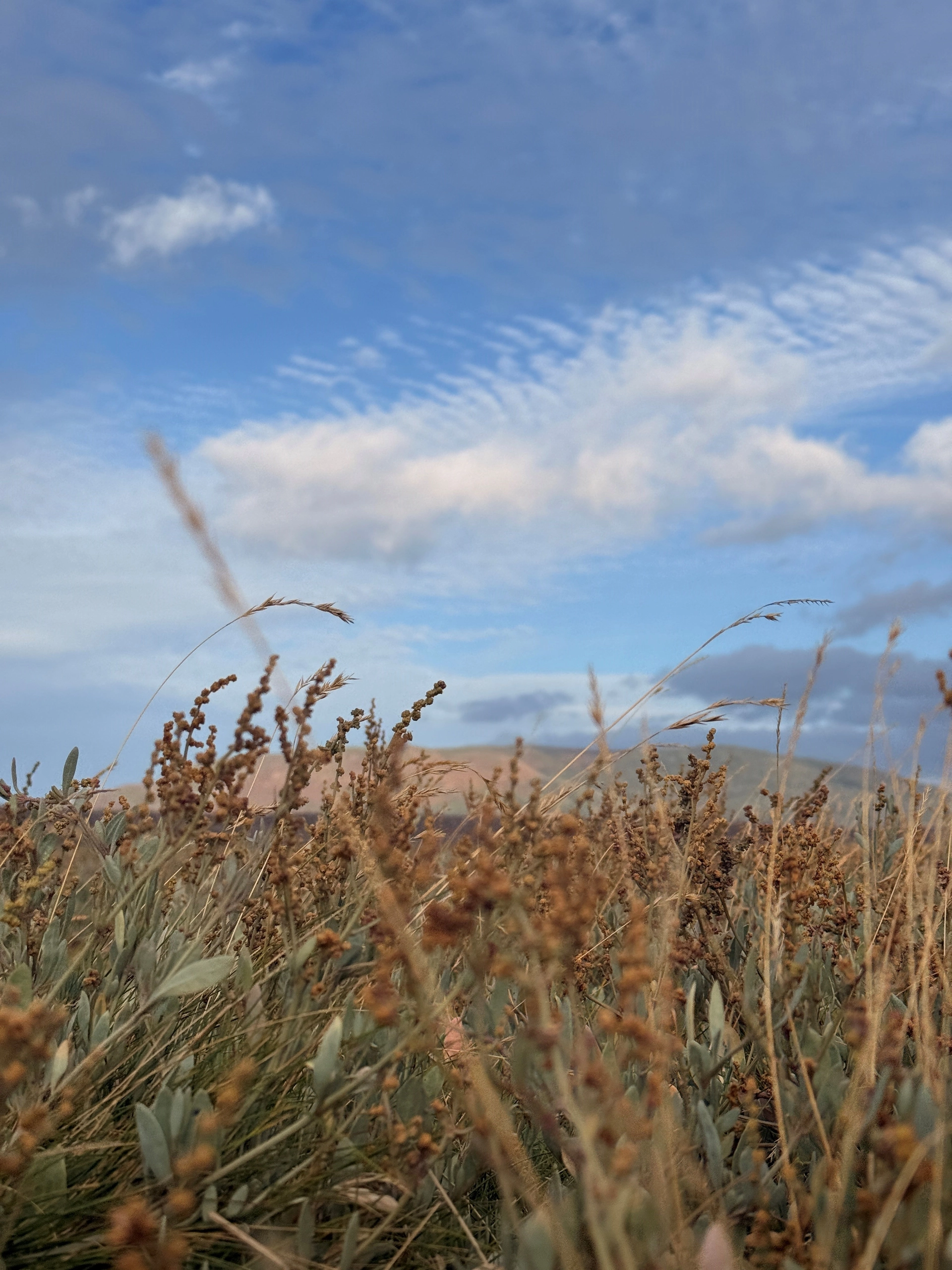 South West Coast Path